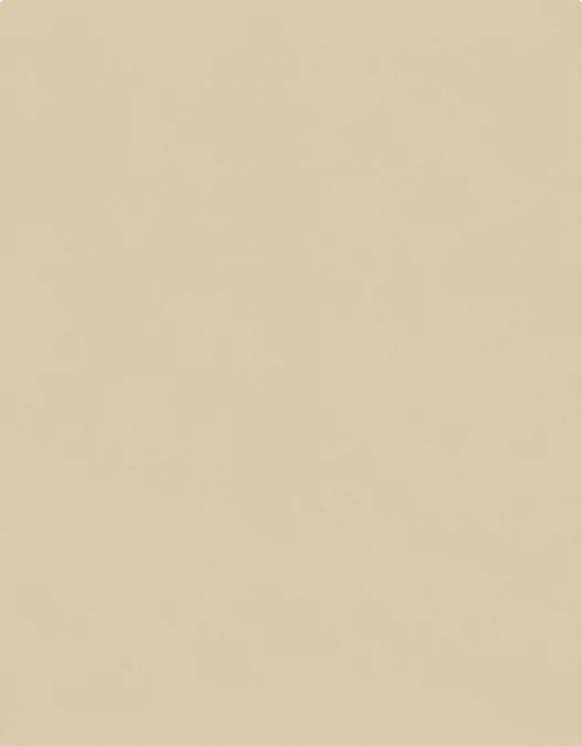 beigeicon.png
